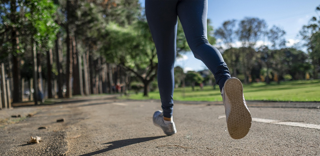 LAS MEJORES VITAMINAS